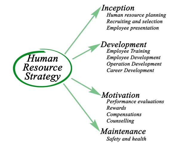 İnsan kaynak strateji diyagramı — Stok fotoğraf