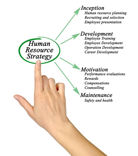 Diagram över mänsklig resurs strategi — Stockfoto