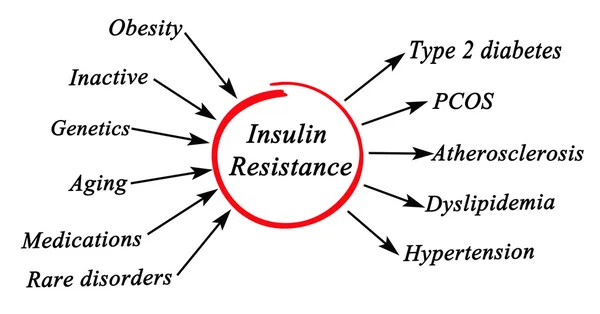 Diagram över insulinresistens — Stockfoto