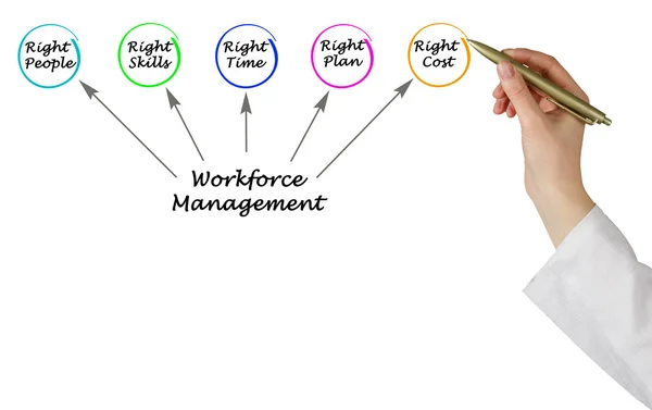 Diagram över Workforce Management — Stockfoto