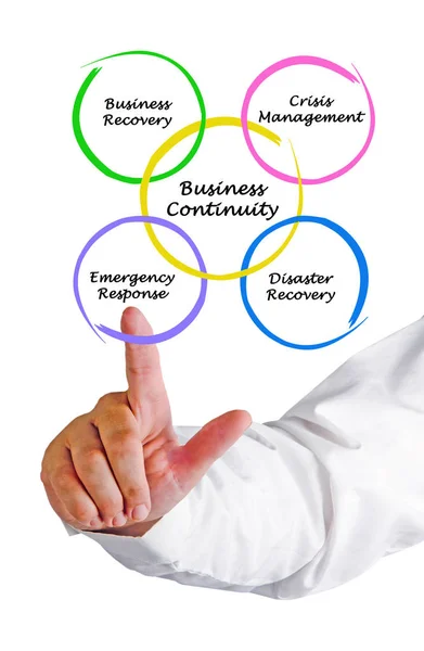 Diagram of Business Continuity — Stock Photo, Image