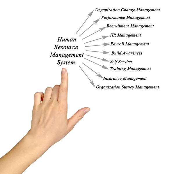 Σύστημα διαχείρισης ανθρώπινου δυναμικού — Φωτογραφία Αρχείου