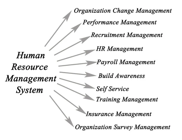 Personalmanagement-System — Stockfoto