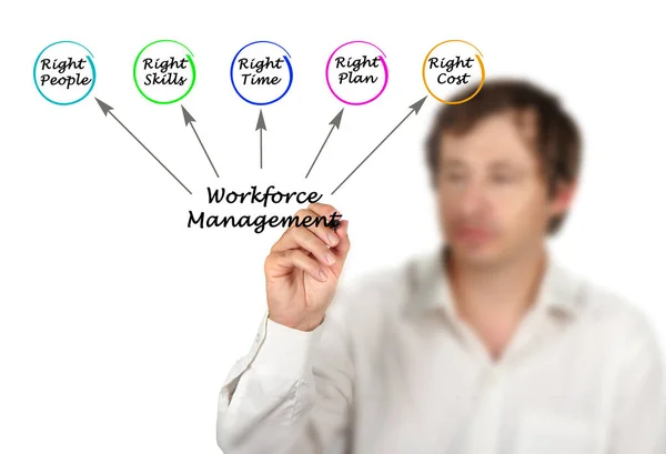 Diagram över Workforce Management — Stockfoto