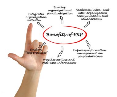 Yarar-in Erp diyagramı