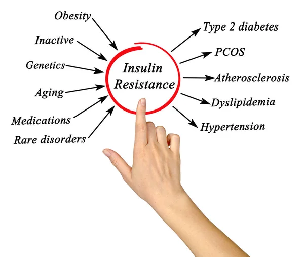 Diagrama de Resistência à Insulina — Fotografia de Stock