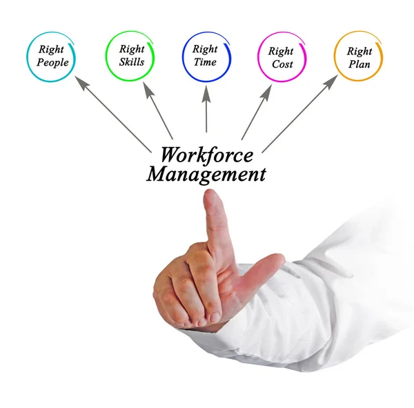 Diagram över Workforce Management — Stockfoto