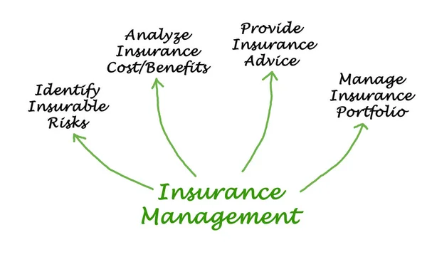 Diagrama de Gestión de Seguros — Foto de Stock