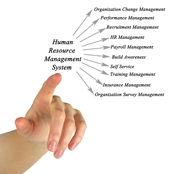 Human Resource Management System — Stock Photo, Image