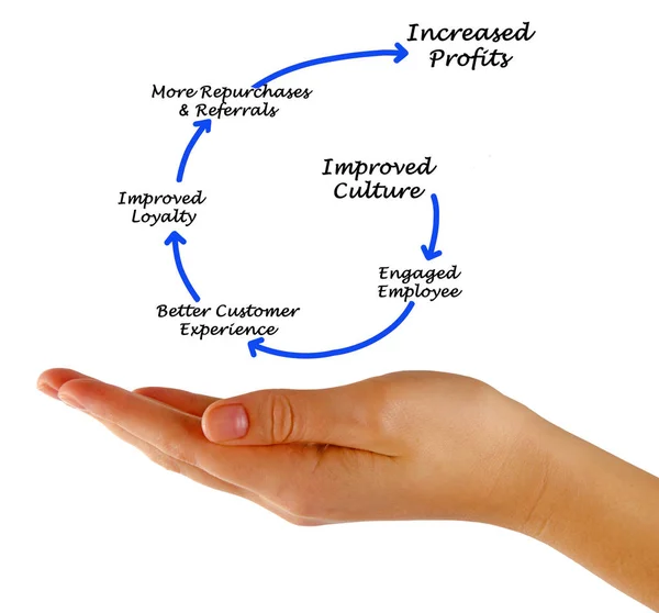 Diagramma della cultura migliorata — Foto Stock