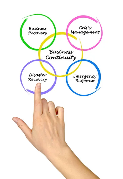 Diagram of Business Continuity — Stock Photo, Image