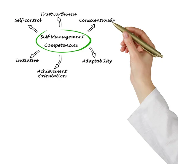 Diagram över Self Management kompetenser — Stockfoto