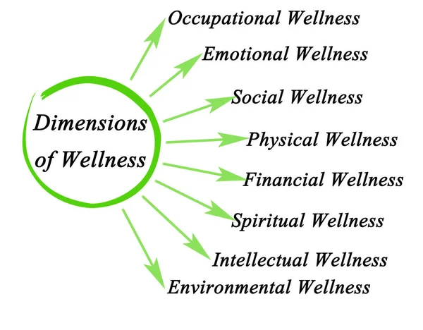 Diagram of Dimensions of Wellness — Stock Photo, Image