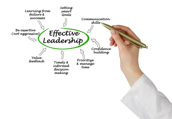 Диаграмма эффективного лидерства — стоковое фото