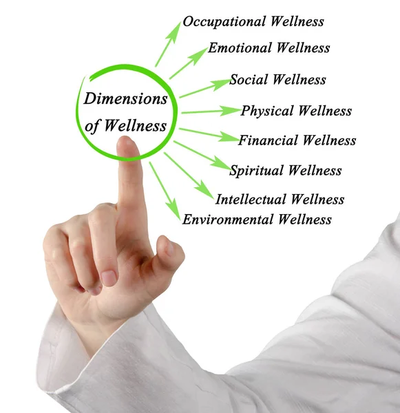 Diagram of Dimensions of Wellness — Stock Photo, Image