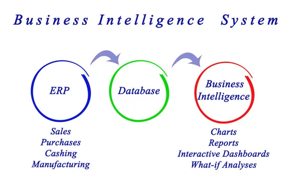 Diagrama do Sistema de Inteligência de Negócios — Fotografia de Stock