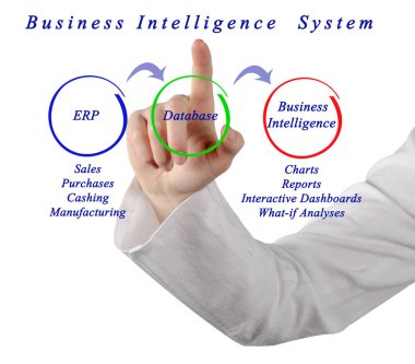 İş zeka sistemi diyagramı