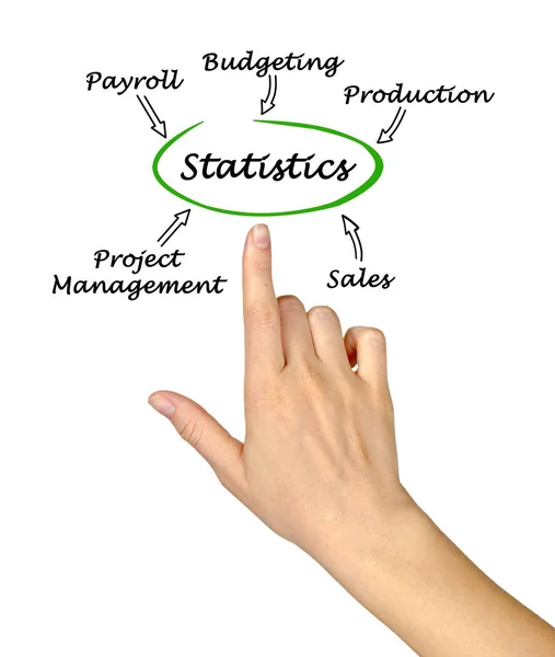 presentation of diagram of Statistics