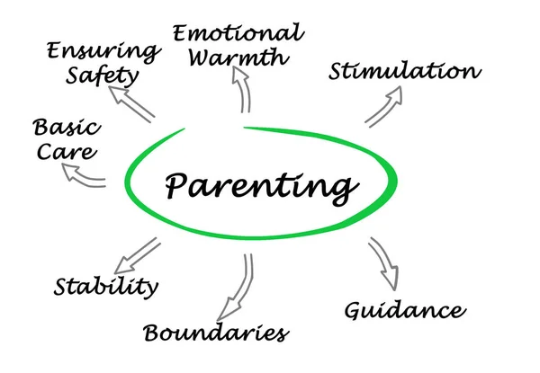 Prezentację, diagramu rodzicielstwa — Zdjęcie stockowe