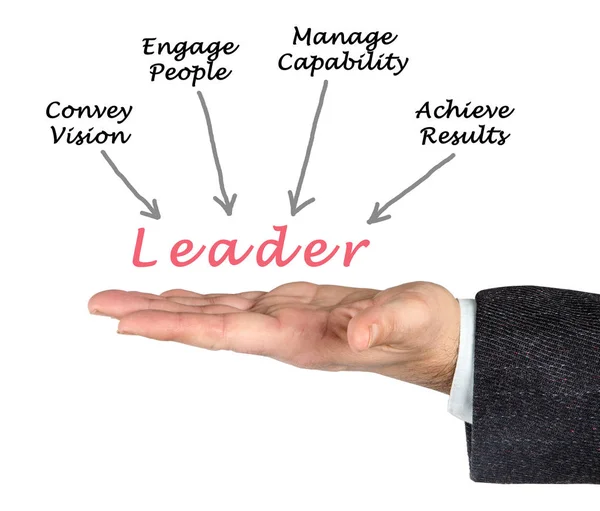 Presentación del diagrama de Leader — Foto de Stock