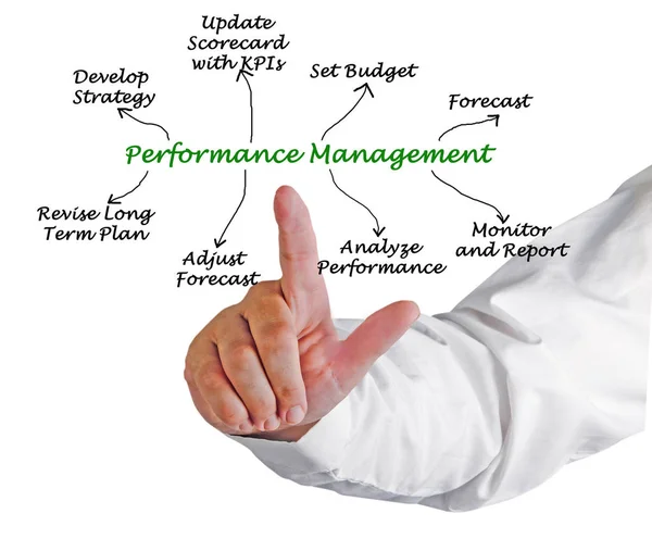 Diagram of Performance Management  Process — Stock Photo, Image