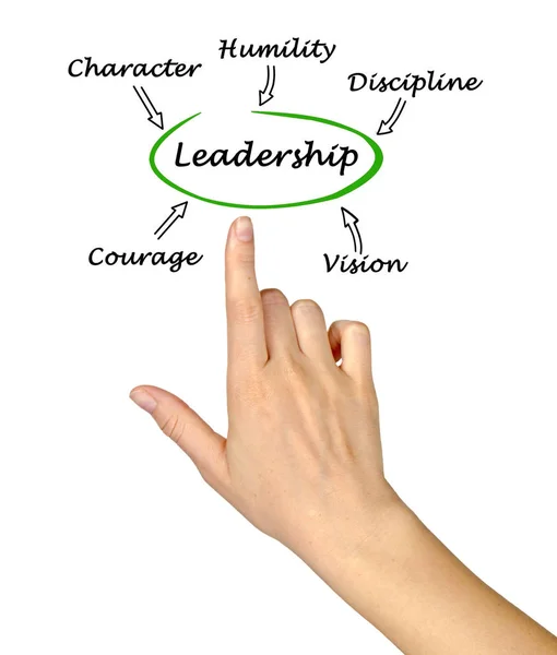 Prezentację, diagramu przywództwa — Zdjęcie stockowe