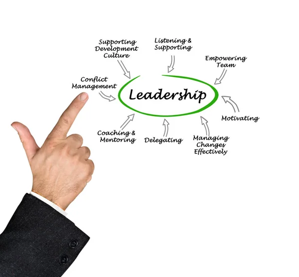 PresentatingDiagram of  Leadership — Stock Photo, Image