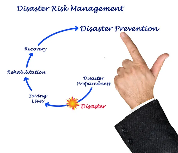 Diagramme de la gestion des risques de catastrophe — Photo