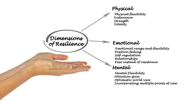 Diagramma di Dimensioni di Resilienza — Foto Stock
