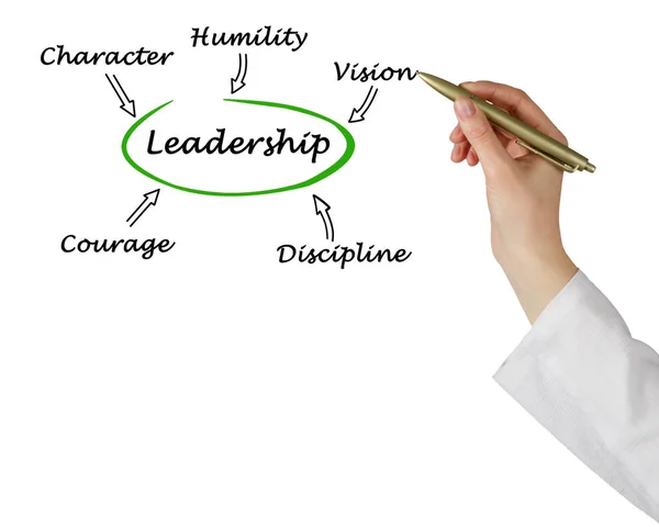 Presentation of diagram of Leadership — Stock Photo, Image