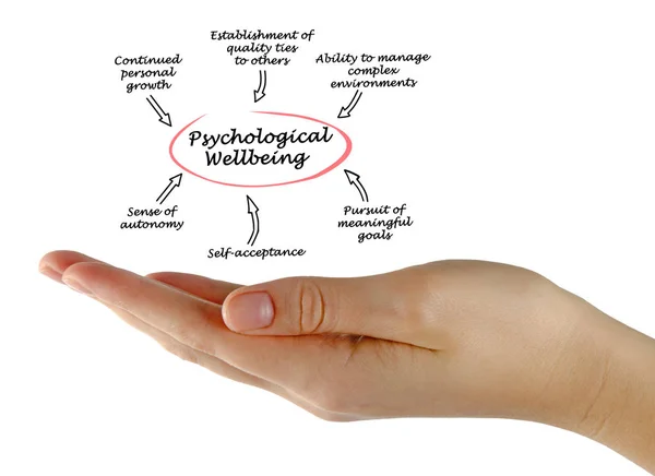 Diagram of Psychological Wellbeing — Stock Photo, Image