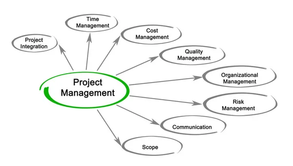 Diagram of project management — Stock Photo, Image