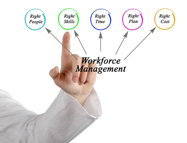 Diagram van Workforce Management — Stockfoto