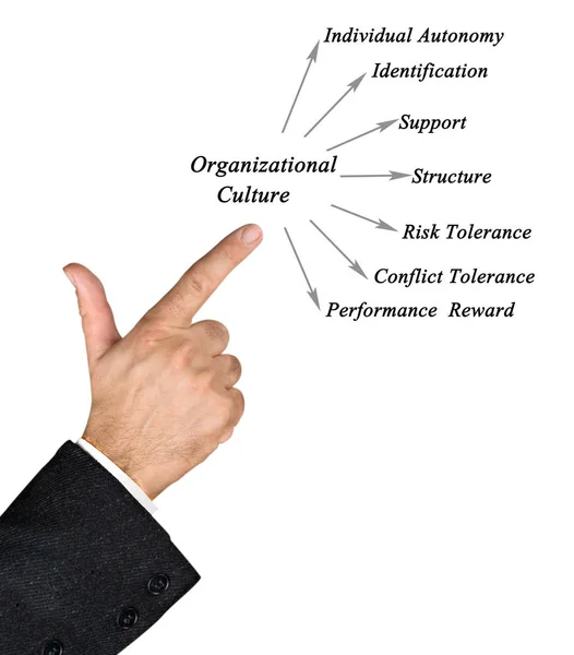 Organizational culture Images - Search Images on Everypixel