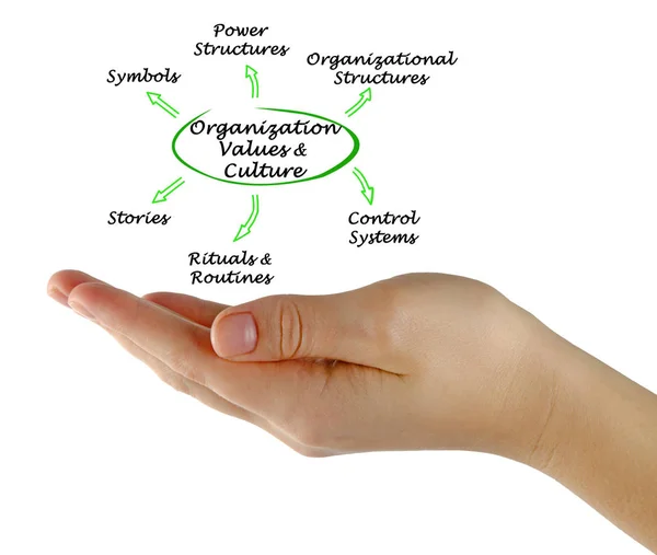 Diagrama de valores y cultura de la organización — Foto de Stock