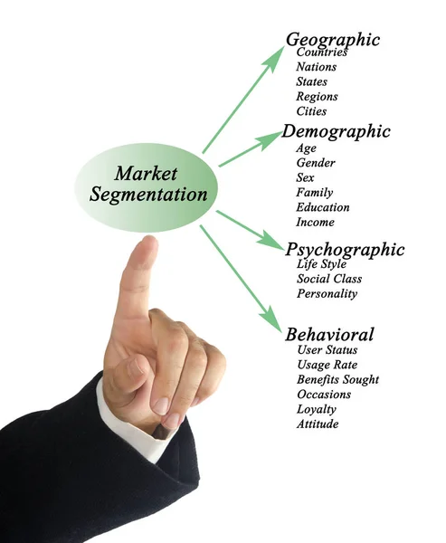 Diagrama segmentării pieței — Fotografie, imagine de stoc