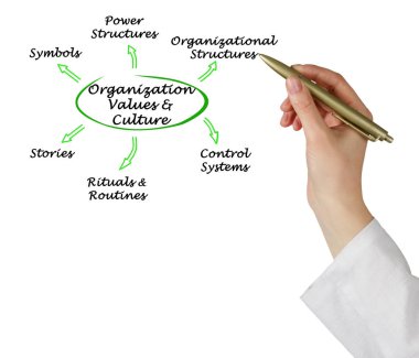 Organizasyon değerler ve kültür diyagramı