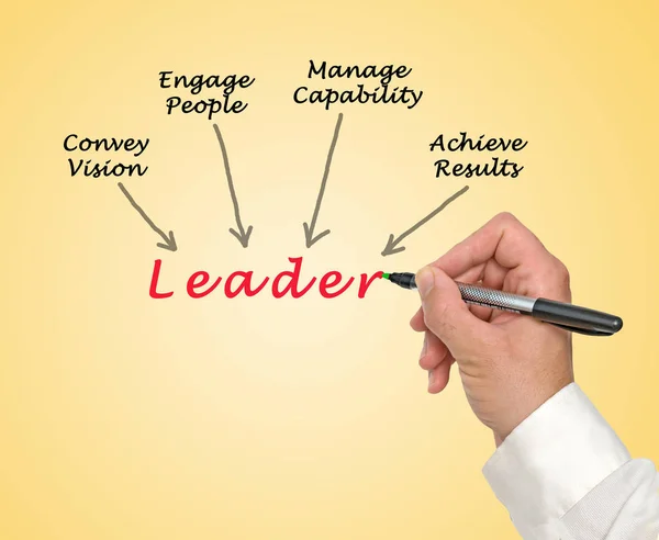 Apresentação do diagrama de Leader — Fotografia de Stock