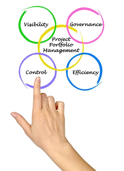 Diagrama de Gestión de Cartera de Proyectos — Foto de Stock