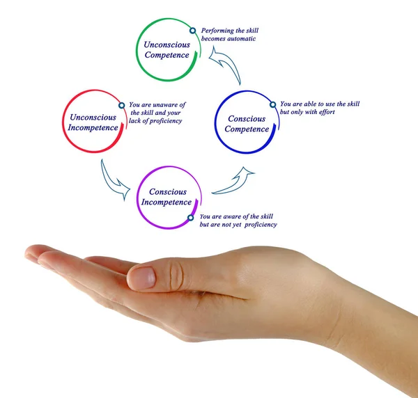 Diagramm der Kompetenz und Inkompetenz — Stockfoto