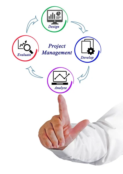 Diagrama de gestión de proyectos —  Fotos de Stock