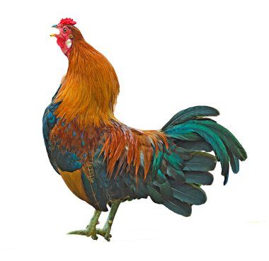 Renkli liste yakın çekim