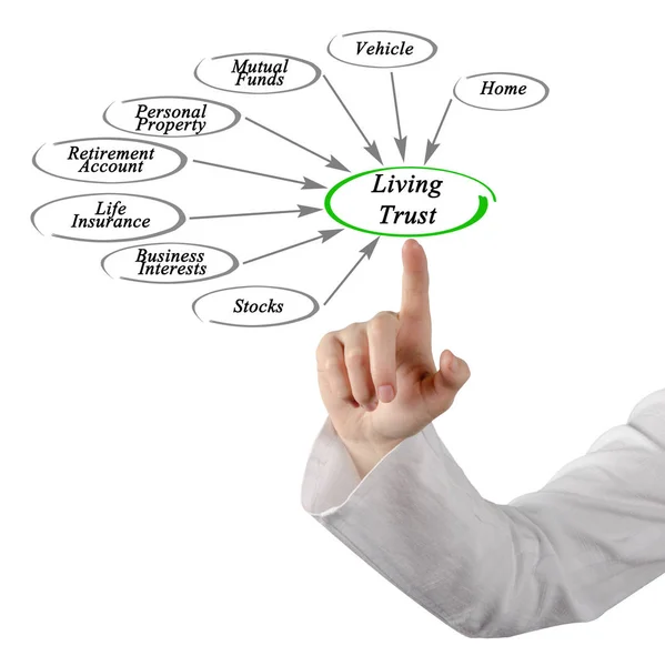 Diagrama de Confiança Viva — Fotografia de Stock