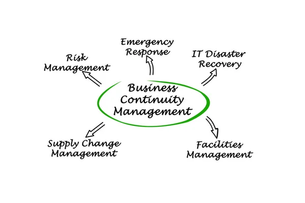 Diagram of Business Continuity Management — Stock Photo, Image