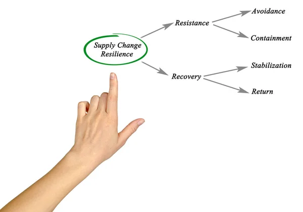 Diagrama de la resiliencia de la cadena de suministro — Foto de Stock