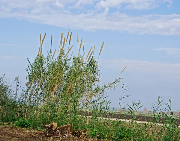 Natur im Hülla-Tal, Island — Stockfoto