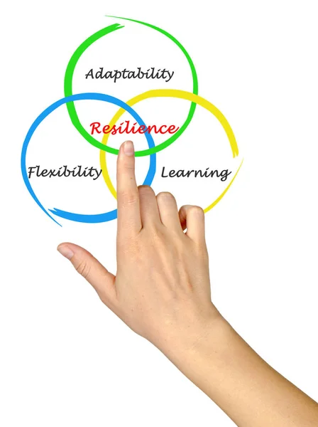 Presentación del Diagrama de Resiliencia — Foto de Stock