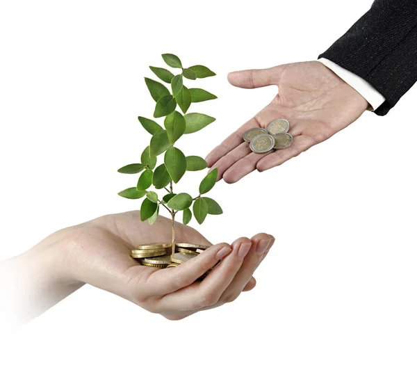 Invertir en empresas ecológicas — Foto de Stock