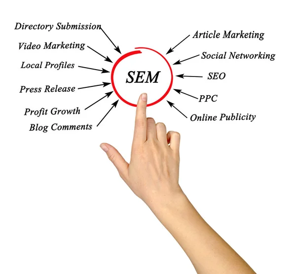 Apresentando o diagrama de SEM — Fotografia de Stock