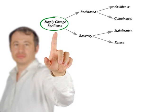Diagram of Supply chain resilience — Stock Photo, Image